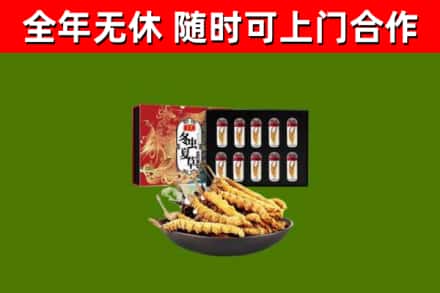 寿宁回收冬虫夏草价格