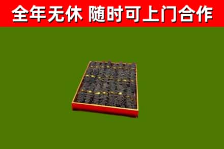 寿宁回收海参